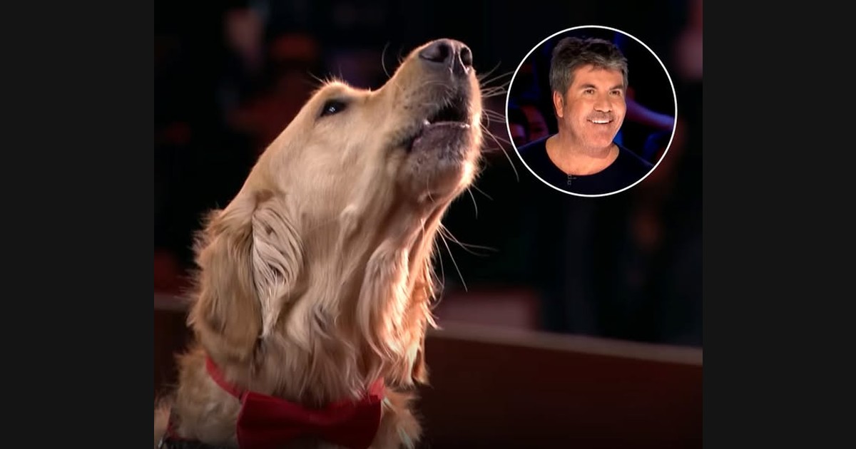 Oscar and Pam Turn an America’s Got Talent Audition into a Piano Duet